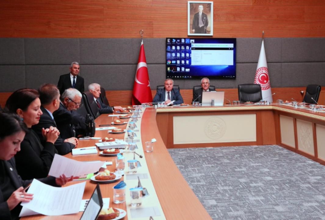 IOFS speaks at the Grand National Assembly of Turkey