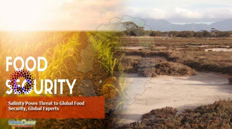 Salinity Poses Threat To Global Food Security, Global Experts