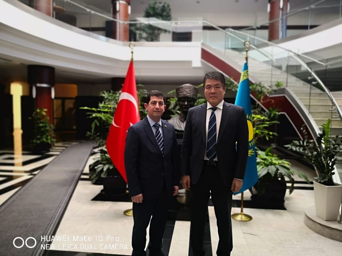Director-General meets the Ambassador of Turkey