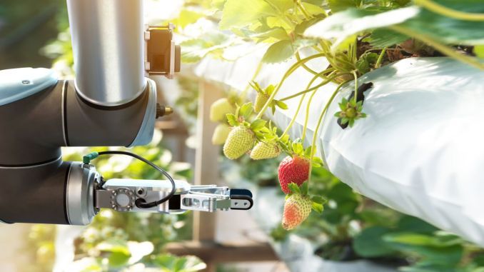 The Way to Exist in the Future Smart Agriculture