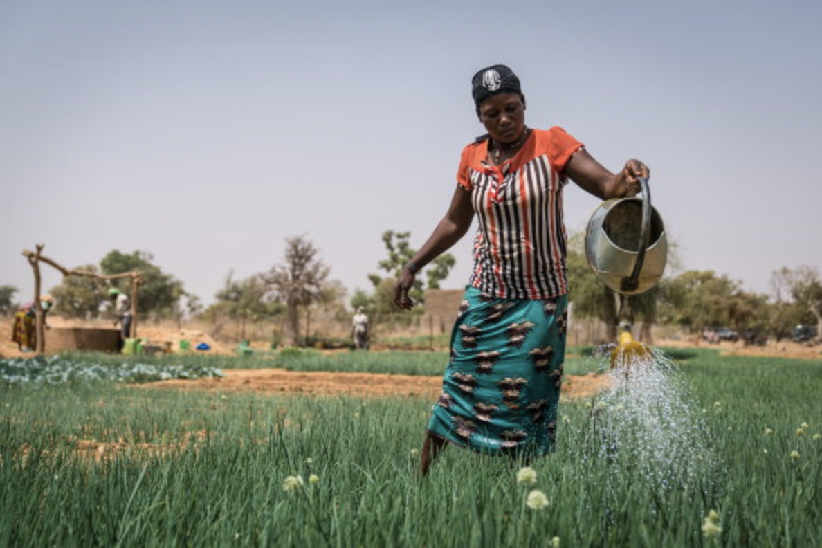 The EU and WFP partner to improve nutrition in the Central Sahel by strengthening local food systems