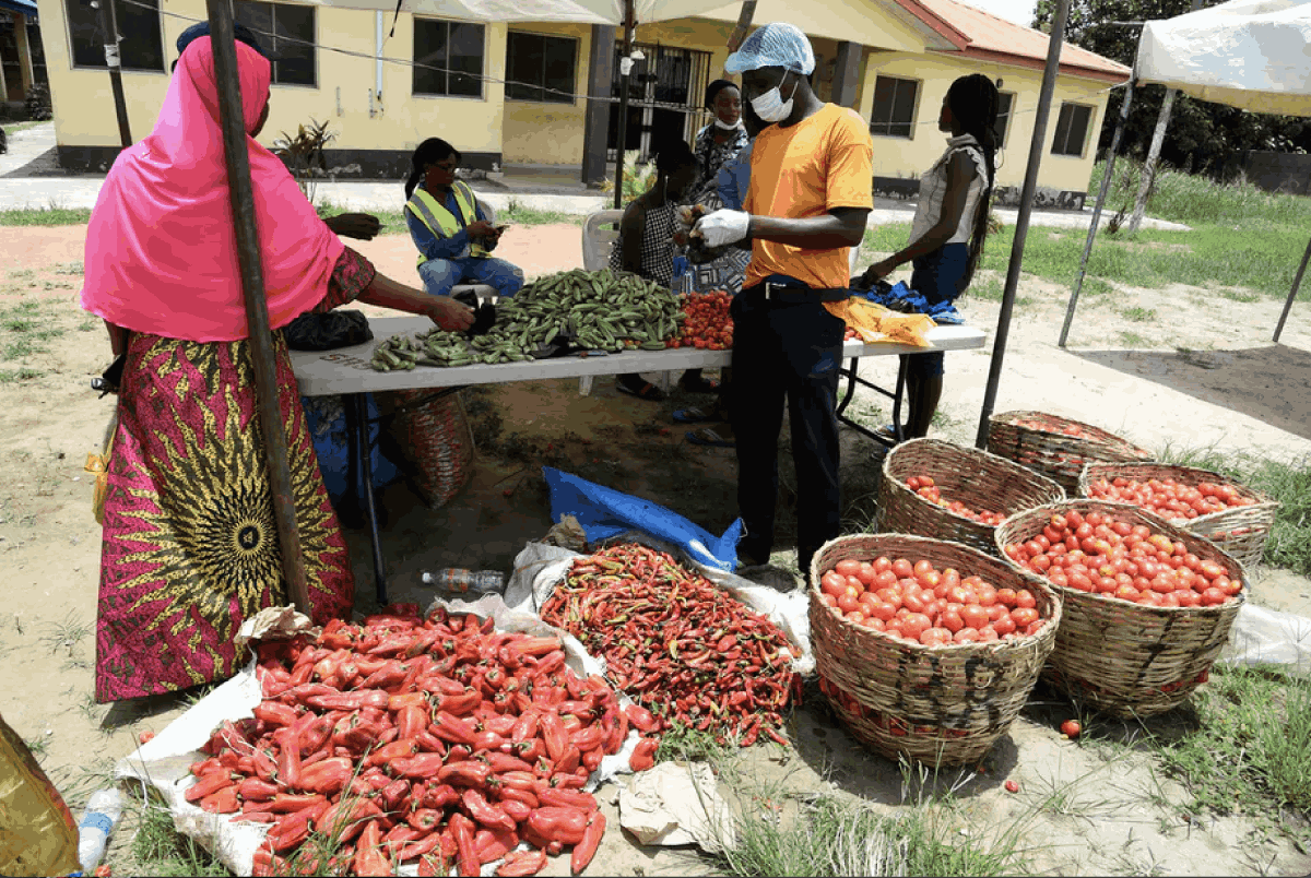Pandemic underscores flaws in Nigeria’s farming and food supply chains