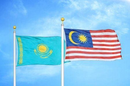 Kazakhstan, Malaysia eye closer co-op within Islamic Organization for Food Security
