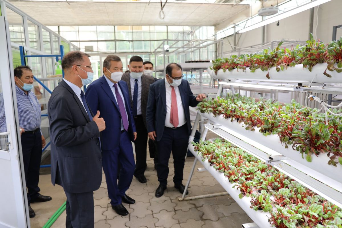 IOFS visits research centres and institutes of NASEC in Almaty