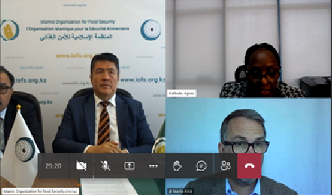 Director-General of IOFS holds an online meeting with UN Special Envoy