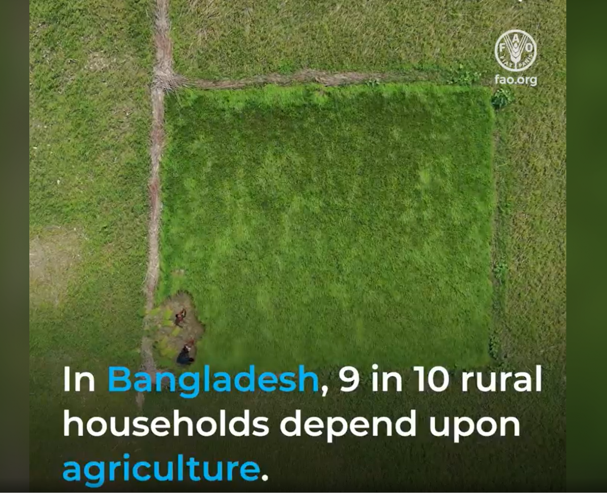 FAO with the Government of Bangladesh has set up Digital Centres for farmers