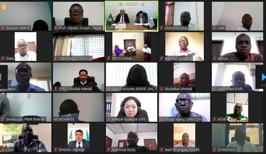 The first meeting of Center of Excellence for Cassava 