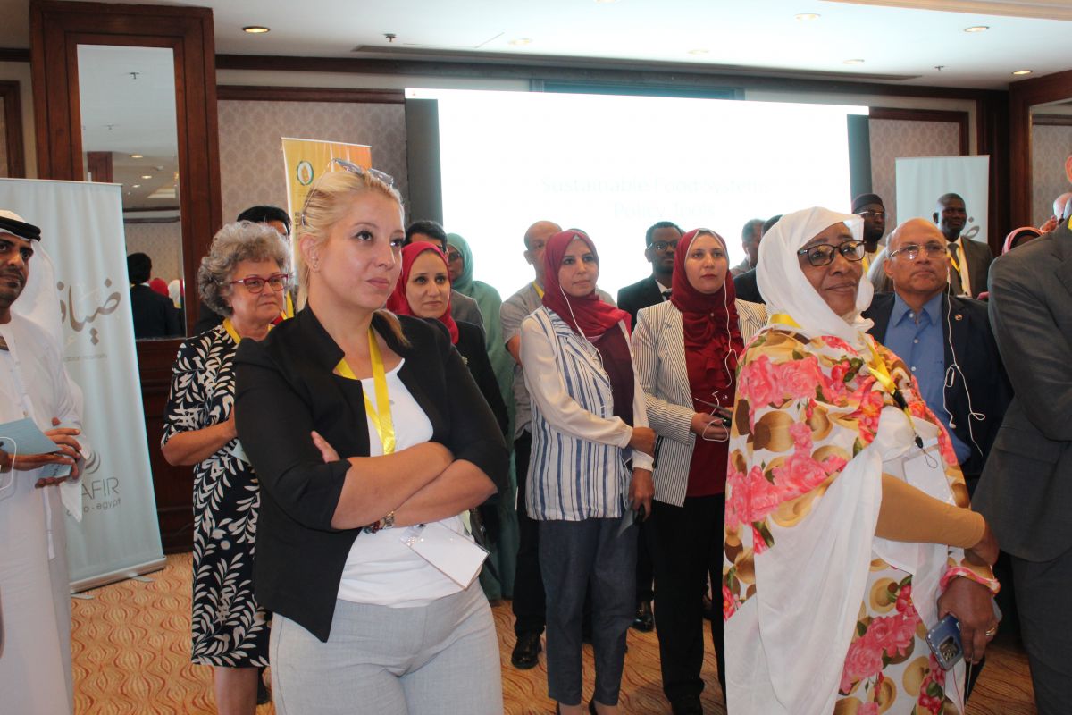 IOFS CONCLUDES FOOD SECURITY GOVERNANCE WORKSHOP IN CAIRO