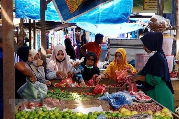 INDONESIA TO SPEND OVER 6 BILLION USD TO ENSURE FOOD SECURITY IN 2023