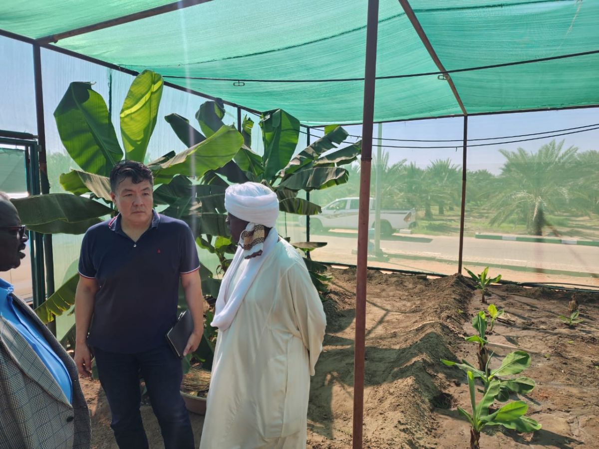 Site visits to the leading agroindustrial enterprises of Sudan